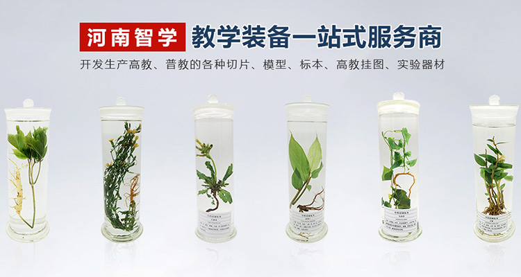 河南智學教育裝備有限公司